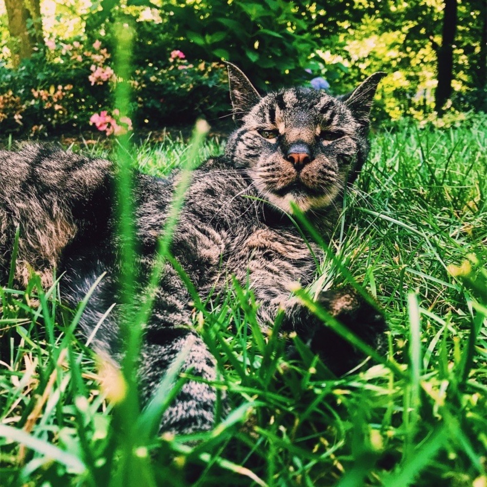 Meet your Posher, Annie